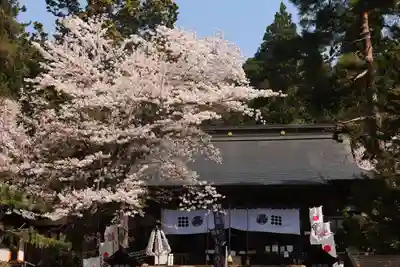 土津神社|こどもと出世の神さまの本殿・本堂