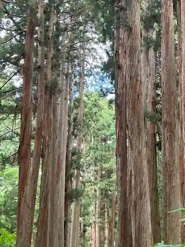 戸隠神社奥社(長野県)