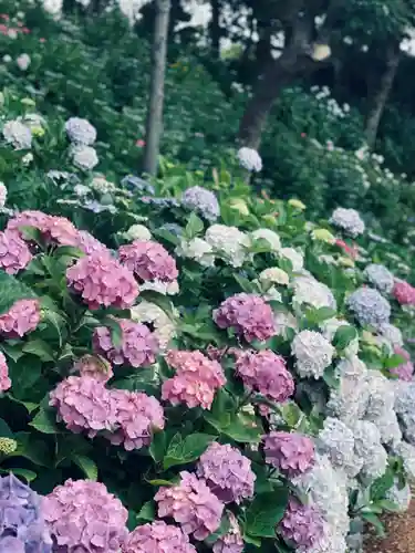 二本松寺(茨城県)