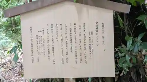 愛宕神社（阿多古神社）(京都府)