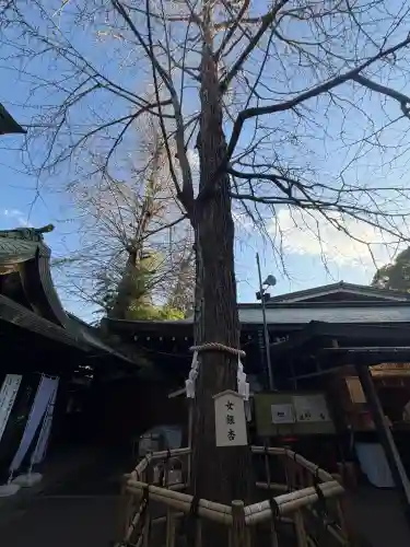 大宮八幡宮の{uncategorized: "未分類", other: "その他", undefined: "問題あり", building: "その他建物", grave: "お墓", sacred_gate: "鳥居", guardian: "狛犬", statue: "像", buddha: "仏像", history: "歴史", nature: "自然", garden: "庭園", animal: "動物", pagoda: "塔", temizu: "手水舎", mountain_gate: "山門・神門", sanctuary: "本殿・本堂", subordinate: "末社・摂社", art: "芸術", scenery: "景色", jizo: "地蔵", ema: "絵馬", goshuin: "御朱印", omikuji: "おみくじ", items: "授与品その他", amulet: "お守り", goshuincho: "御朱印帳", eats: "食事", festival: "お祭り", votive_dance: "神楽", shichigosan: "七五三参", wedding: "結婚式", experience: "体験その他", initially: "初詣", around: "周辺", anti_infection: "感染症対策"}