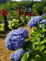 陽林寺(福島県)