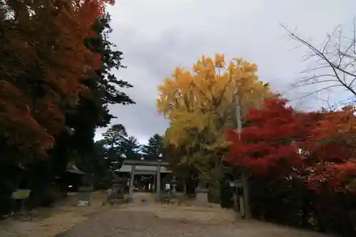 三春大神宮の庭園