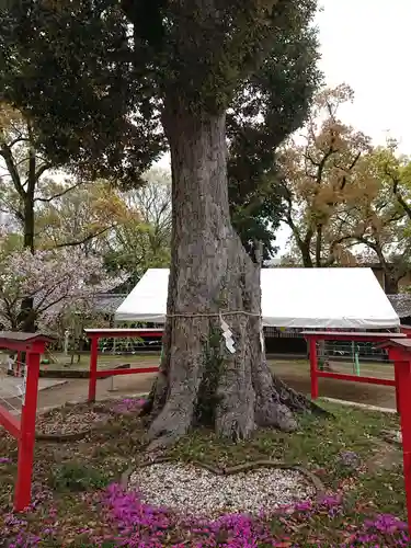 水田天満宮の庭園