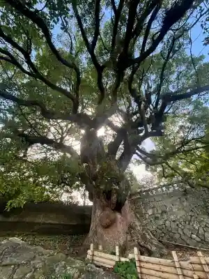 與止日女神社(佐賀県)