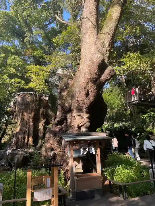 來宮神社(静岡県)