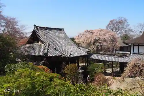 竹林院の本殿・本堂