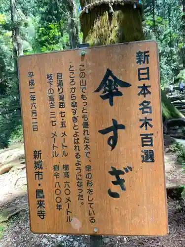 鳳来山東照宮(愛知県)