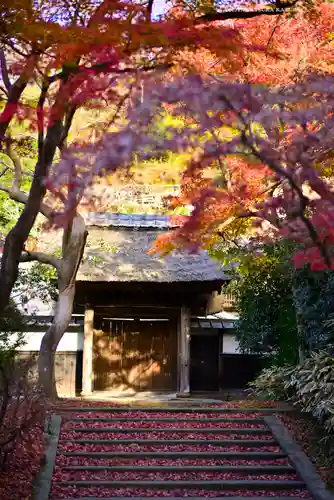 円覚寺(神奈川県)