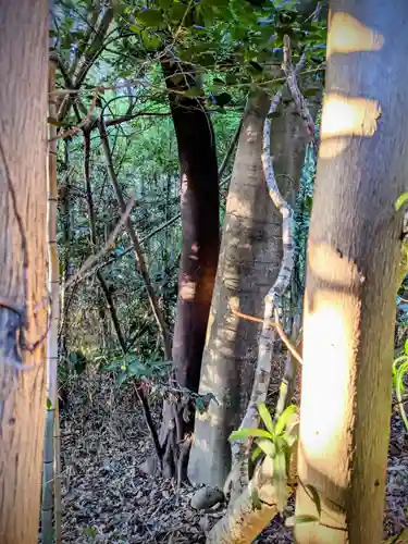 桜木神社(香川県)