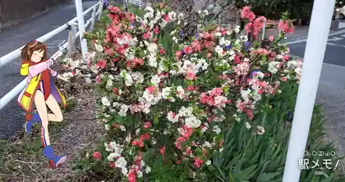 奥戸馬頭観音の自然