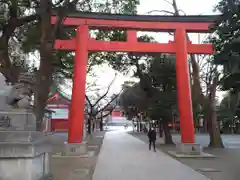 花園神社の鳥居