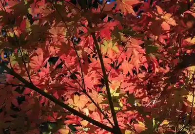 一乗寺(兵庫県)