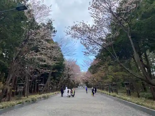 北海道神宮の景色