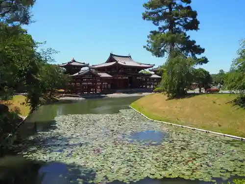 平等院の庭園