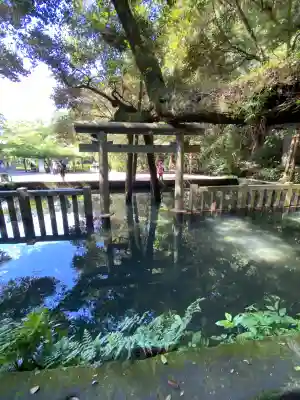 鹿島神宮(茨城県)