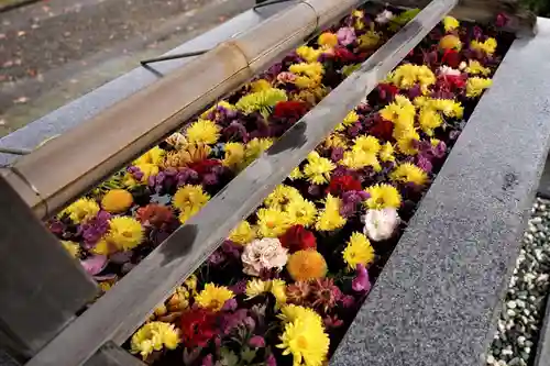 豊景神社の手水舎