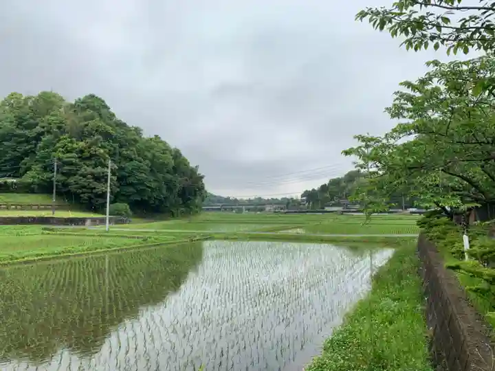 日枝神社の周辺