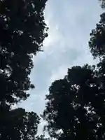 大宮温泉神社(栃木県)