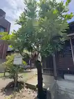 大当稲荷神社(東京都)