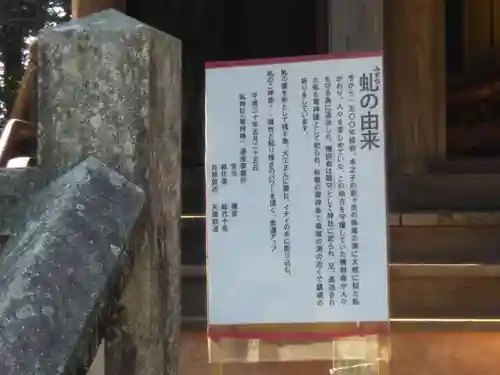 縣主神社の歴史