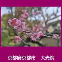 大光院の自然
