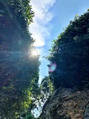 手力雄神社の自然