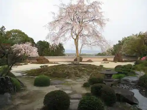 正法寺の庭園