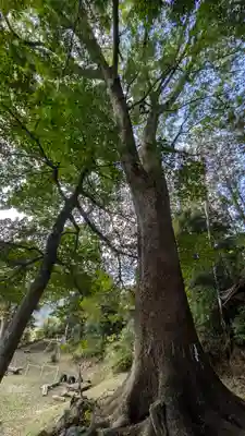 八幡宮社(長峰八幡宮)(京都府)