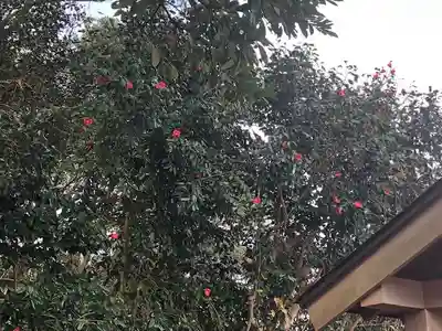 九頭竜様の自然