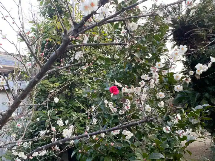 伊勢の国 四天王寺(三重県)