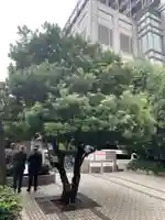 天照神社(京都府)