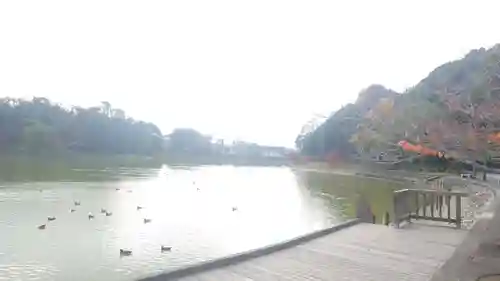 橿原神宮(奈良県)