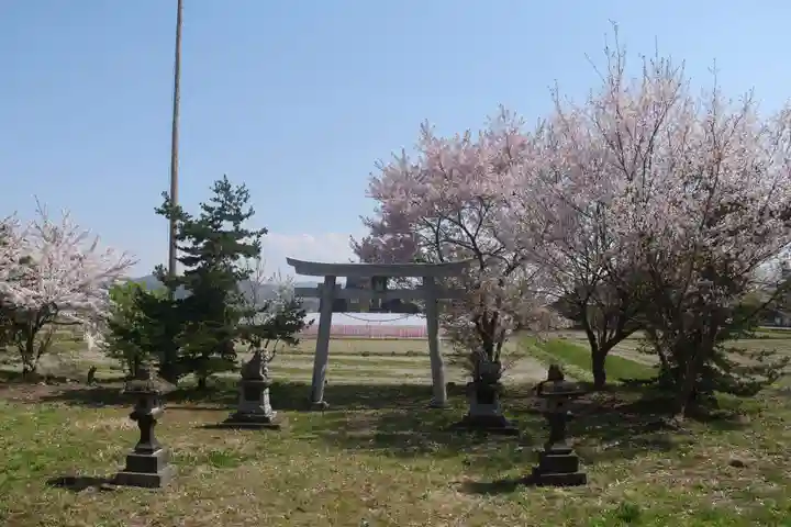 羽黒山神社(西の宮 羽黒山神社)の鳥居