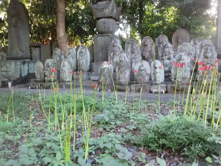 宝蔵院(東京都)