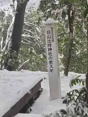 白山比咩神社(石川県)
