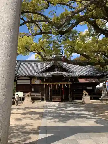 百舌鳥八幡宮の本殿・本堂