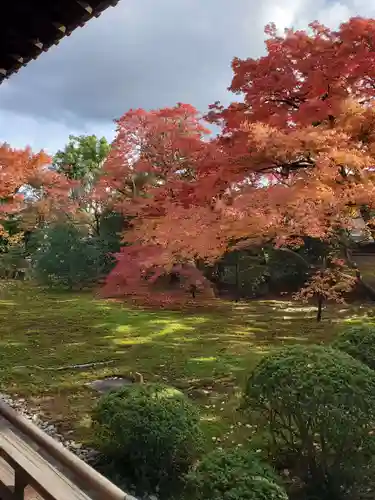 宝鏡寺の庭園