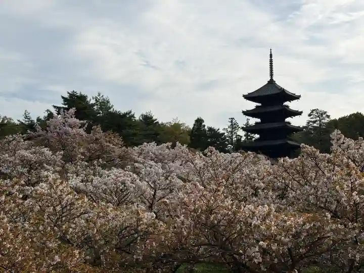 仁和寺の{uncategorized: "未分類", other: "その他", undefined: "問題あり", building: "その他建物", grave: "お墓", sacred_gate: "鳥居", guardian: "狛犬", statue: "像", buddha: "仏像", history: "歴史", nature: "自然", garden: "庭園", animal: "動物", pagoda: "塔", temizu: "手水舎", mountain_gate: "山門・神門", sanctuary: "本殿・本堂", subordinate: "末社・摂社", art: "芸術", scenery: "景色", jizo: "地蔵", ema: "絵馬", goshuin: "御朱印", omikuji: "おみくじ", items: "授与品その他", amulet: "お守り", goshuincho: "御朱印帳", eats: "食事", festival: "お祭り", votive_dance: "神楽", shichigosan: "七五三参", wedding: "結婚式", experience: "体験その他", initially: "初詣", around: "周辺", anti_infection: "感染症対策"}