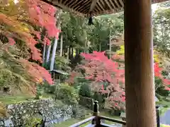 勝林寺(京都府)