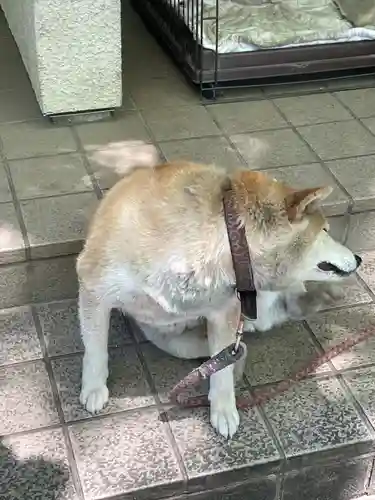 笠䅣稲荷神社(神奈川県)