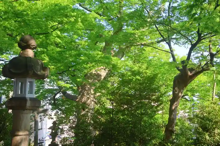 愛宕神社の自然