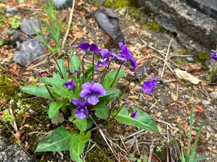 西明寺(山形県)
