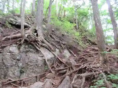 天聖神社(東京都)
