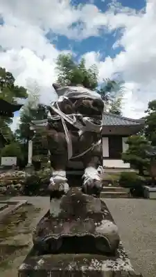 兵主大社の狛犬