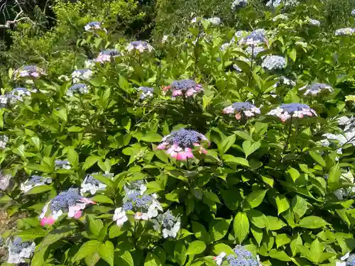 龍尾神社(静岡県)