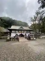 闘鶏神社の本殿・本堂