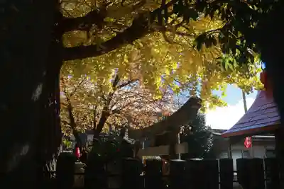 晴門田神社の鳥居