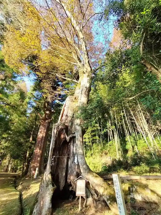 質美八幡宮(京都府)