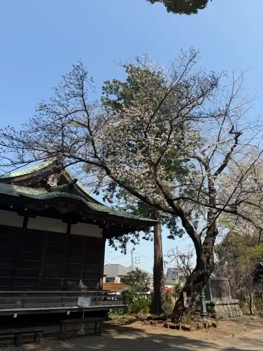 篠原八幡神社の{uncategorized: "未分類", other: "その他", undefined: "問題あり", building: "その他建物", grave: "お墓", sacred_gate: "鳥居", guardian: "狛犬", statue: "像", buddha: "仏像", history: "歴史", nature: "自然", garden: "庭園", animal: "動物", pagoda: "塔", temizu: "手水舎", mountain_gate: "山門・神門", sanctuary: "本殿・本堂", subordinate: "末社・摂社", art: "芸術", scenery: "景色", jizo: "地蔵", ema: "絵馬", goshuin: "御朱印", omikuji: "おみくじ", items: "授与品その他", amulet: "お守り", goshuincho: "御朱印帳", eats: "食事", festival: "お祭り", votive_dance: "神楽", shichigosan: "七五三参", wedding: "結婚式", experience: "体験その他", initially: "初詣", around: "周辺", anti_infection: "感染症対策"}